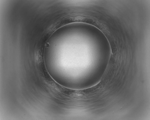 X0000076220743200609281112