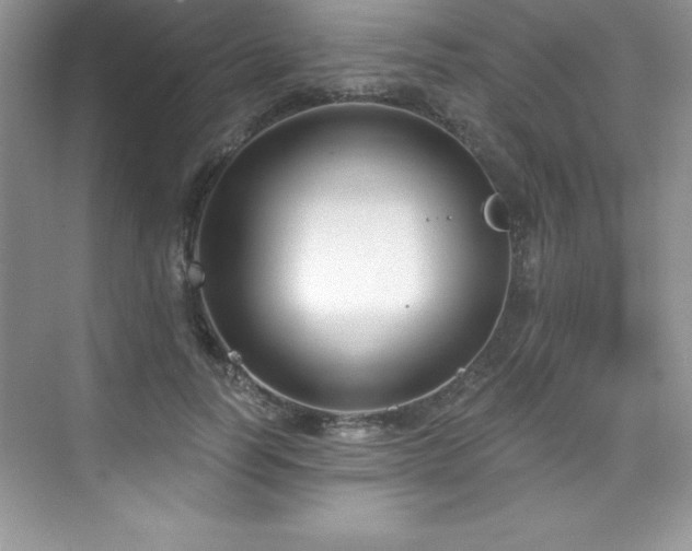 X0000076220746200609281112