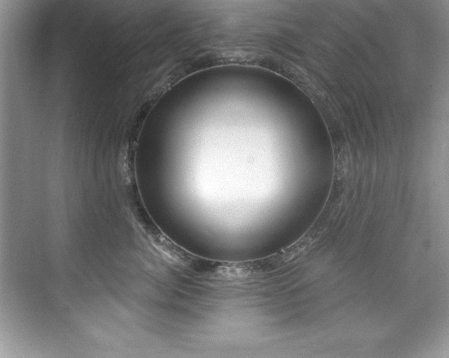 X0000076220764200609281112