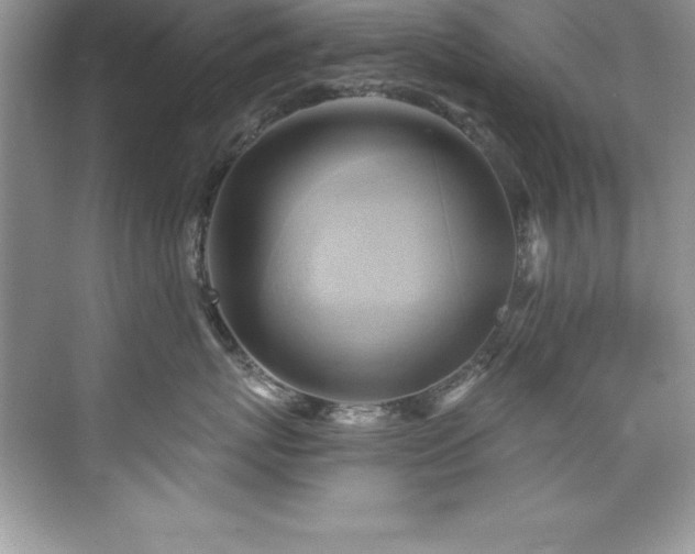 X0000076220767200609281112