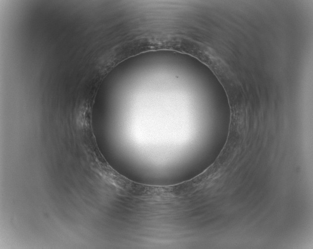 X0000076220770200609281112