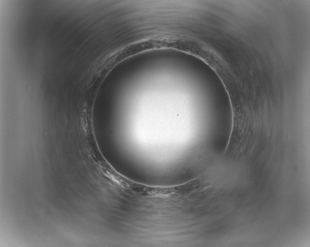 X0000076220773200609281111