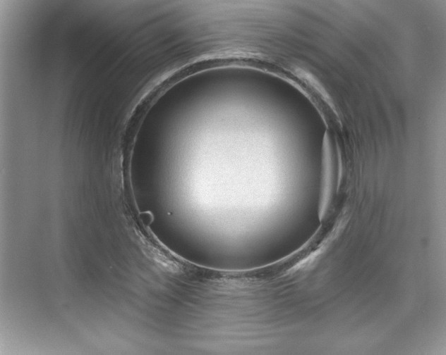 X0000076220781200609281111