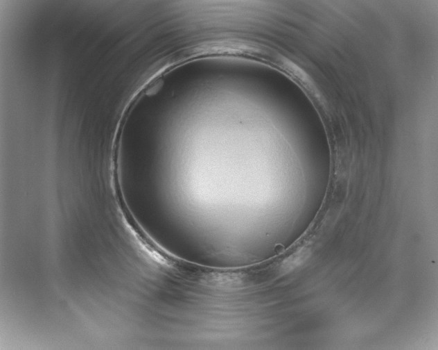 X0000076220802200609281111