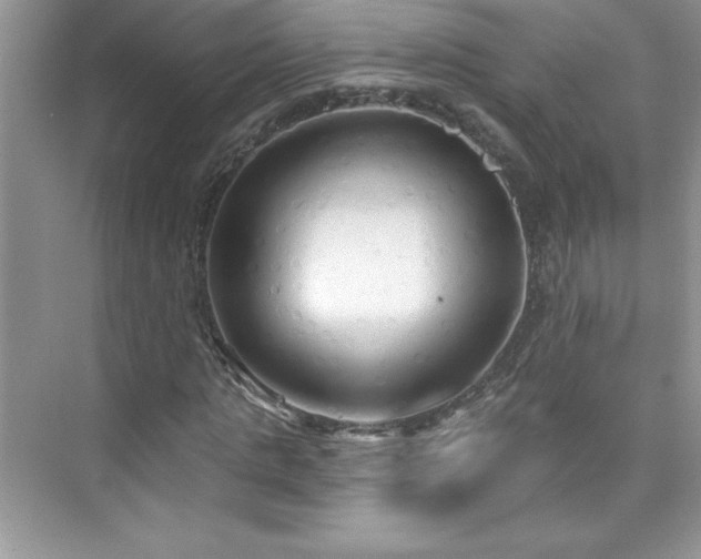 X0000076220821200609281110