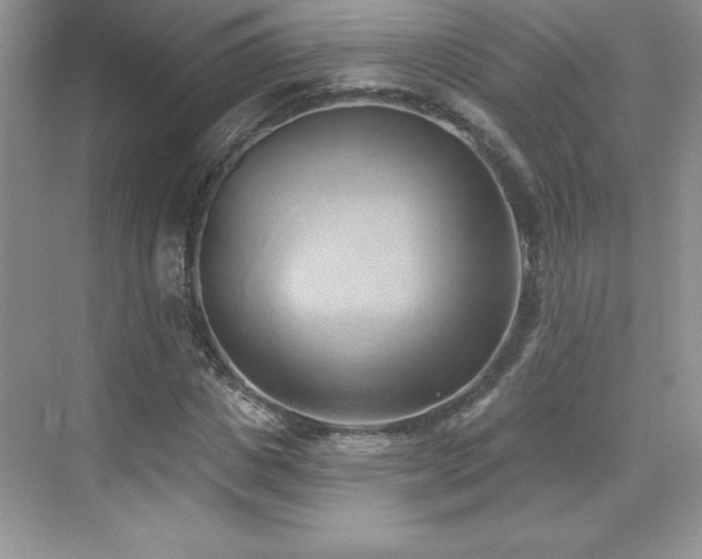 X0000076220825200609281110