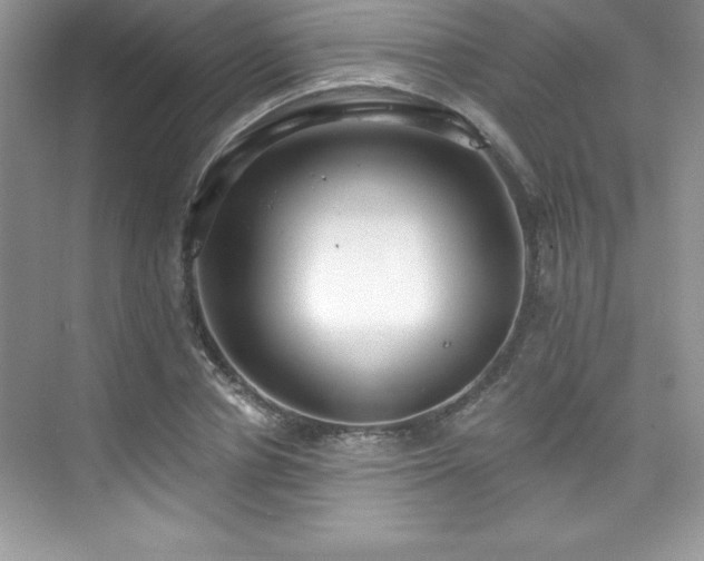 X0000076220834200609281110