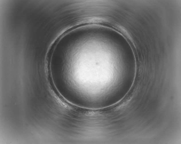 X0000076220835200609281110