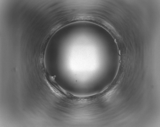 X0000076220841200609281110