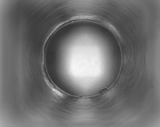 X0000076220844200609281110