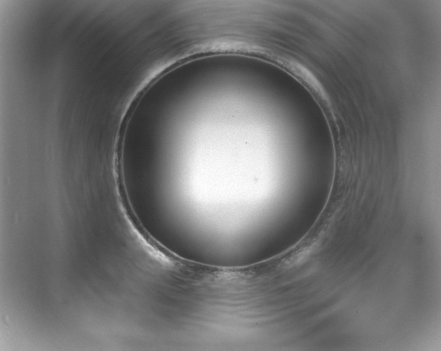X0000076220847200609281110