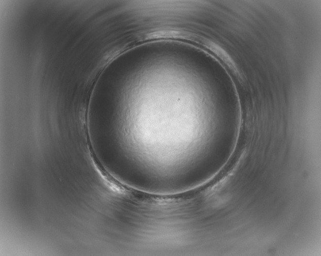 X0000076220849200609281110