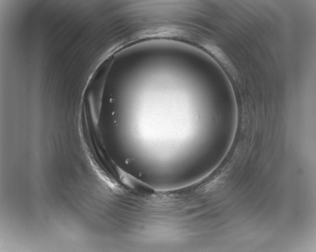 X0000076220850200609281111