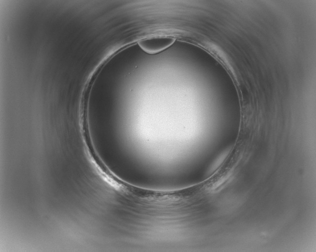 X0000076220851200609281111
