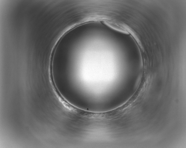 X0000076220861200609281111