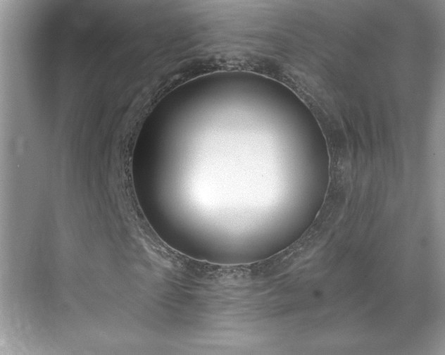 X0000076220865200609281110