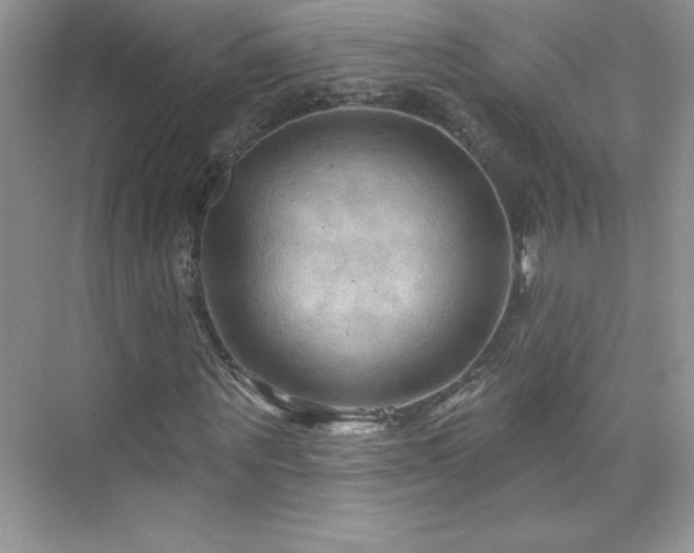 X0000076220867200609281110