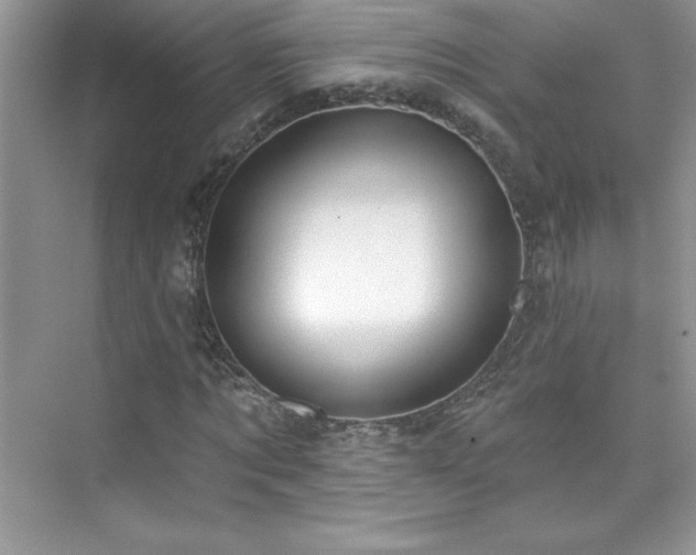 X0000076220869200609281110