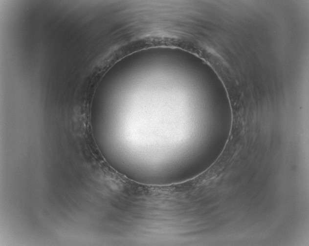 X0000076220870200609281110