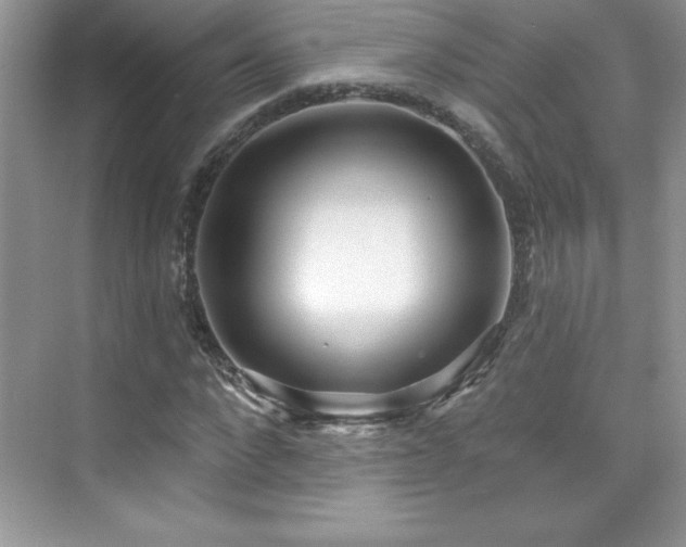 X0000076220872200609281110
