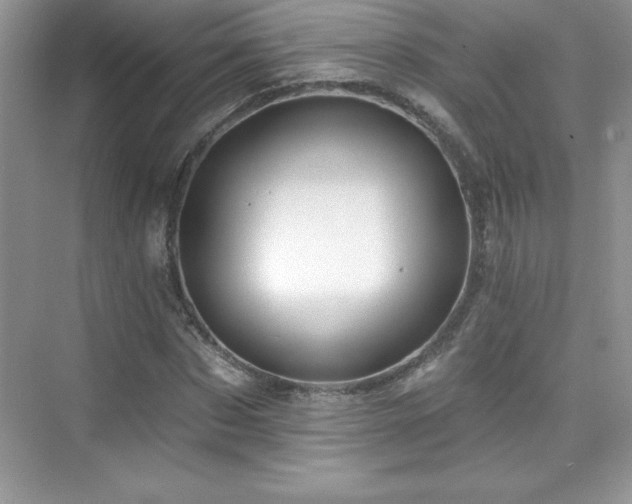 X0000076220873200609281110