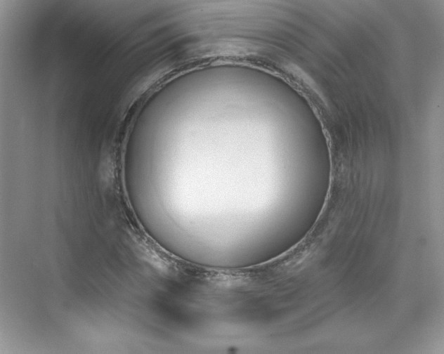 X0000076220874200609281110