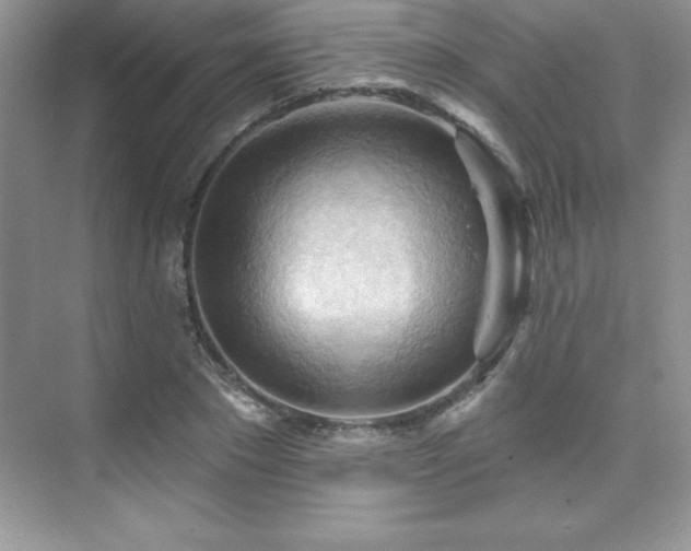 X0000076220881200609281110