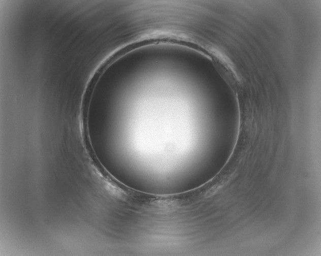 X0000076220888200609281110