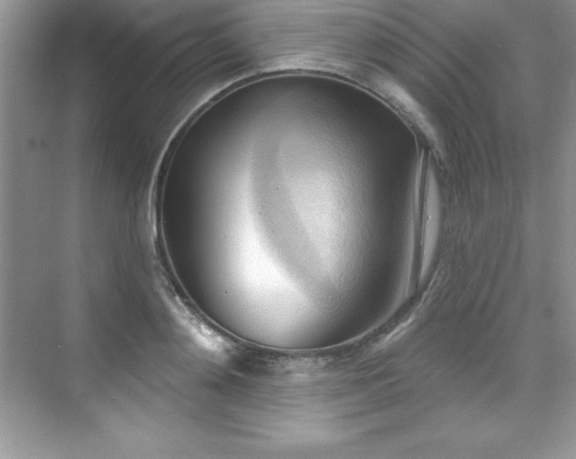 X0000076220892200609281109