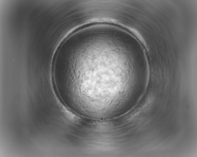 X0000076220895200609281109