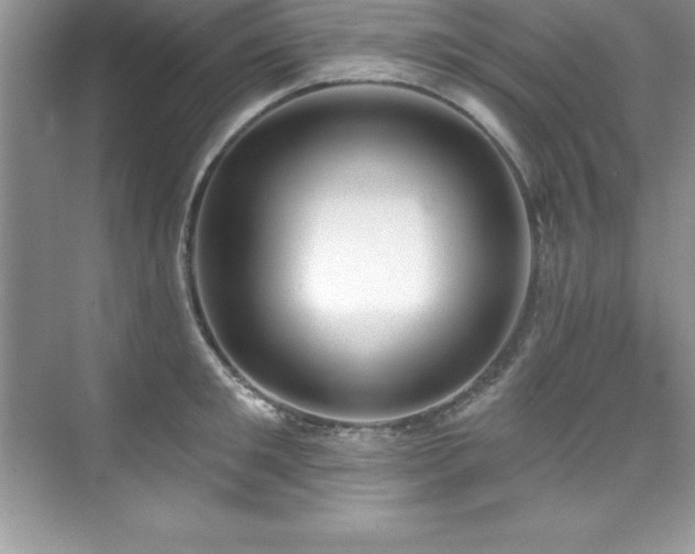 X0000076220901200609281109