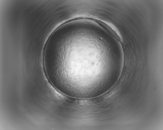 X0000076220903200609281109