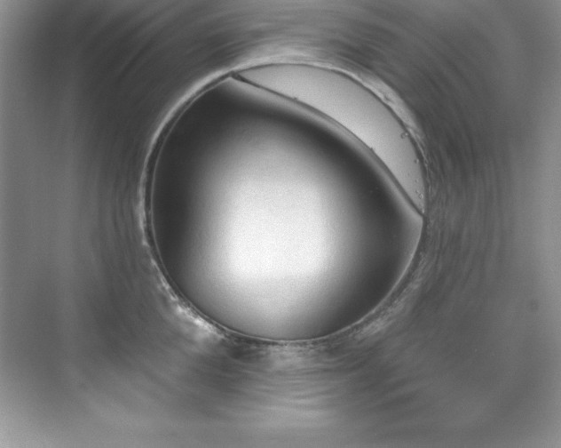 X0000076220904200609281109