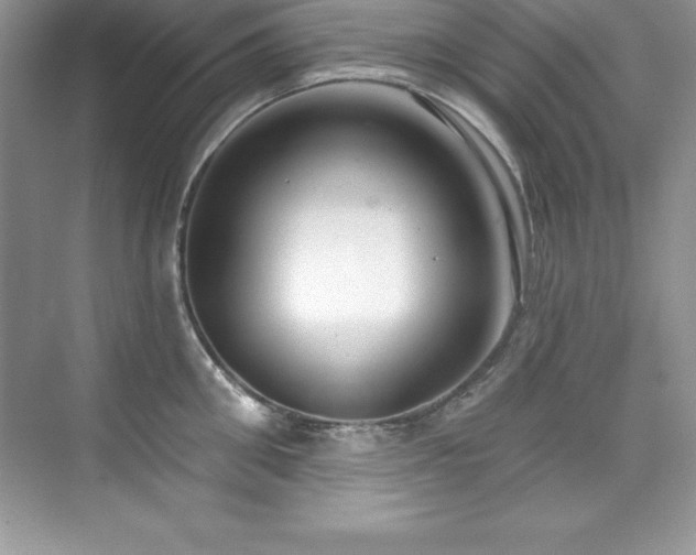 X0000076220906200609281109
