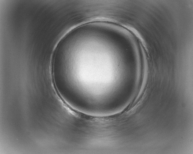 X0000076220910200609281109