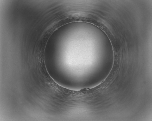 X0000076220919200609281108