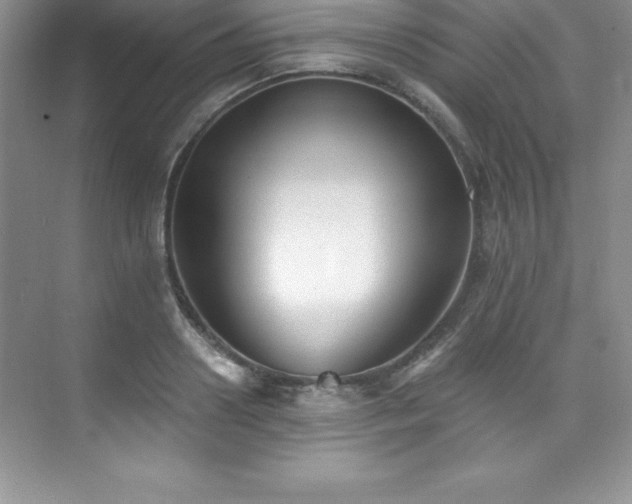 X0000076220938200609281109