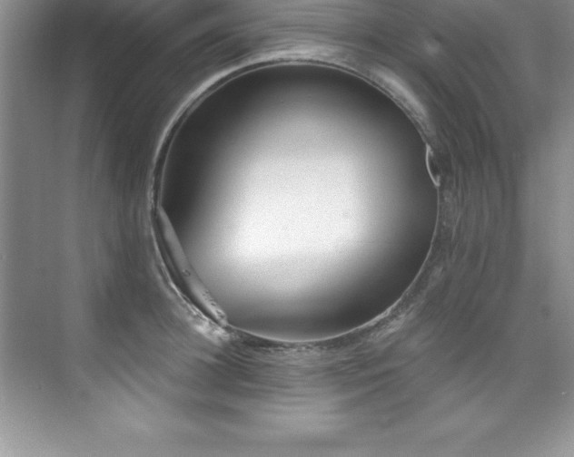 X0000076220948200609281109