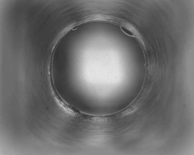 X0000076220954200609281109