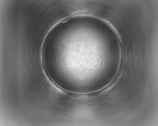 X0000076220957200609281109