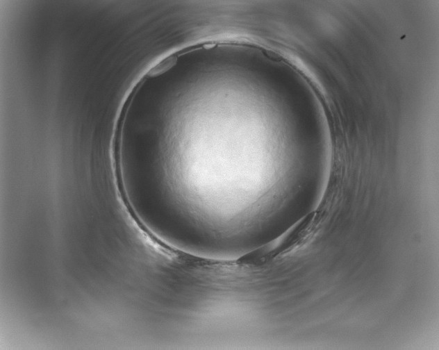 X0000076220959200609281109