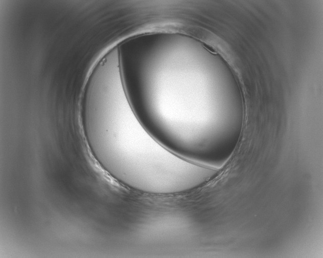 X0000076220960200609281109