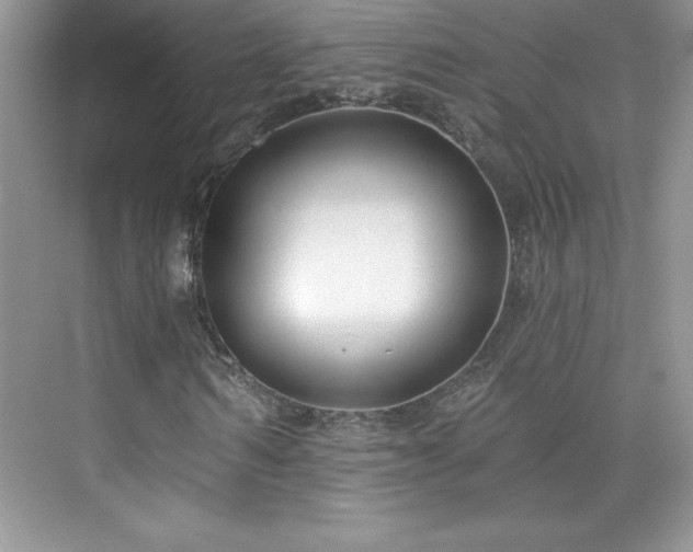 X0000076220962200609281108