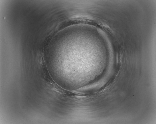 X0000076220965200609281108