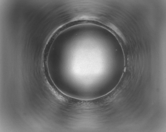 X0000076220972200609281108