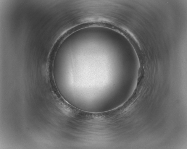 X0000076220975200609281108