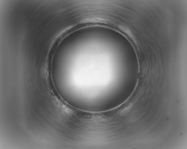X0000076220979200609281108