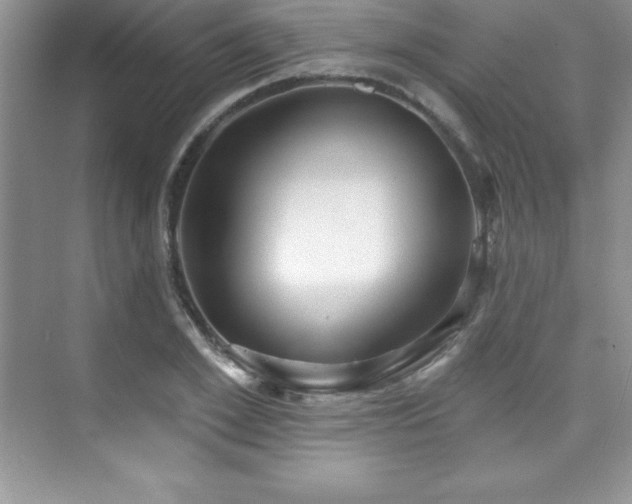 X0000076220981200609281108