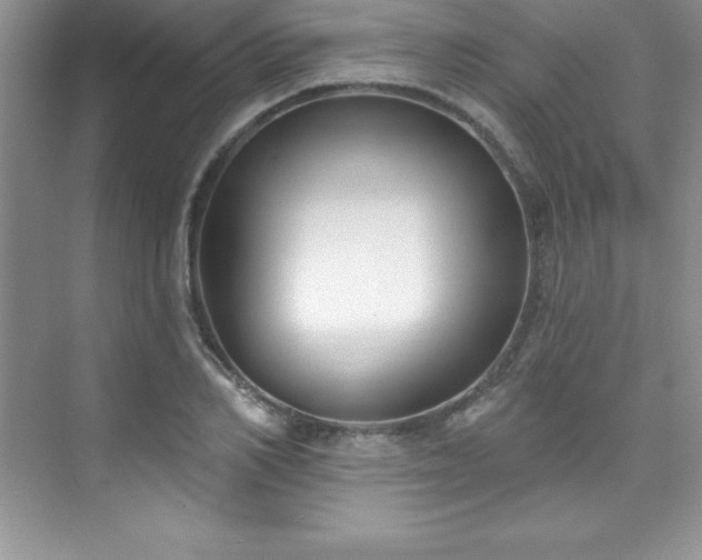 X0000076220982200609281108