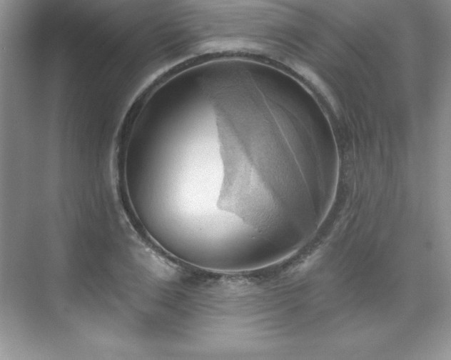 X0000076220983200609281108